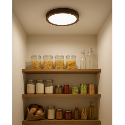 LED Stropní svítidlo LED/18W/230V 3000/4000/6500K pr. 23 cm hnědá